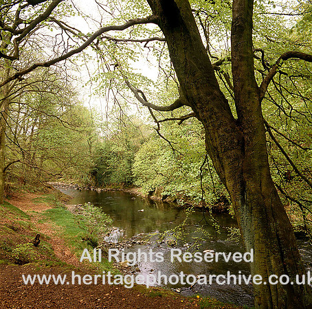 HRS 3916 Irwell at Chestwheel near Summerseat 1980s