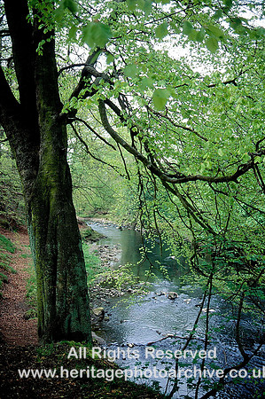 HRS 3926 Irwell near Summerseat 1970s