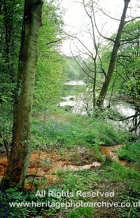 HRS 3928 Irwell nr Chestwheel ochrey water looking S 1970s