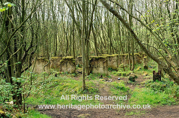 HRS 3929 Irwell Nuttall Village cyanide and sodium plant remains 1994
