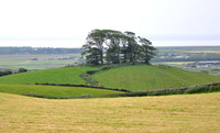 HRS 7206 Flookburgh, Applebury Hill drumlin from SD 37530 76548