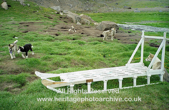 HRS 3423 East Greenland  Huskies Kukusuk 1996