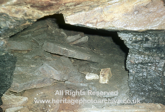 HRS 3658 Bury, Walmersley, coal pit under meadow 1976