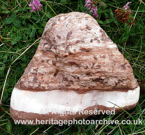 HRS 6681 Gypsum, St Bees Head Barrowmouth area, Whitehaven