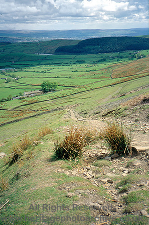 HRS 4005 Pendle Hill big end, ascent footpath,  June 1995