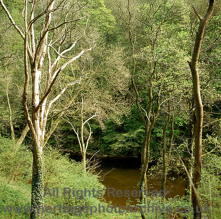 HRS 4035 Hodder near Whitewell 1980s