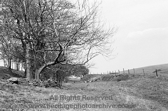 HRS 4062 Broadclough dike image three