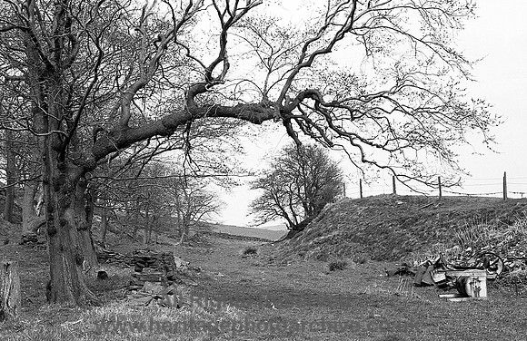 HRS 4063 Broadclough dike image four