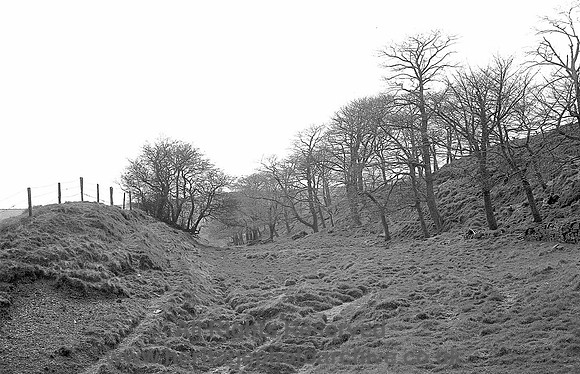 HRS 4064 Broadclough dike image six looking S