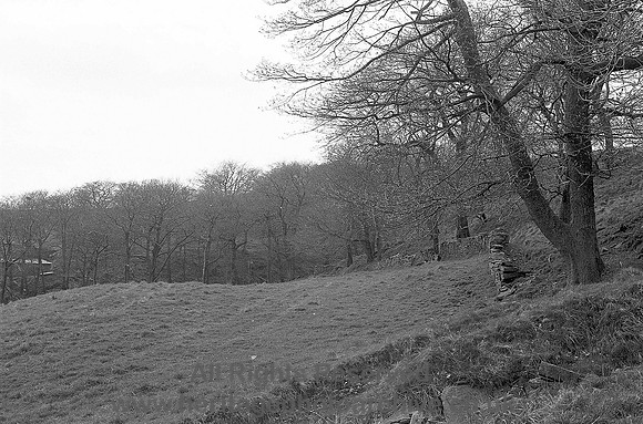 HRS 4065 Broadclough dike looking S image two