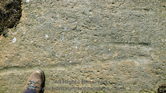 HRS 4096 Carboniferous, Trace fossils, Weir, June 2008