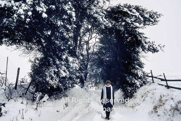 HRS 4104 Sabden, lane to New York Farm, snow Dec 1981