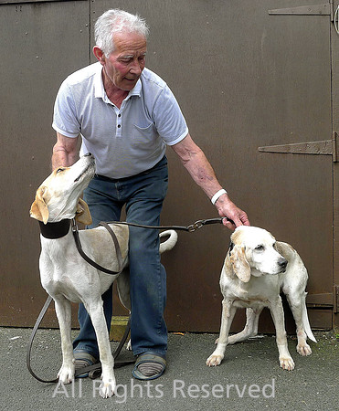 HRS 7080 Les Black, Storth and Trail Hounds