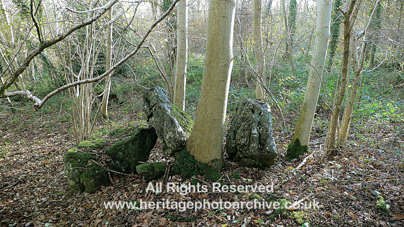 HRS 4258 Bardsea, Displaced limestone glacial erratics Sea Wood