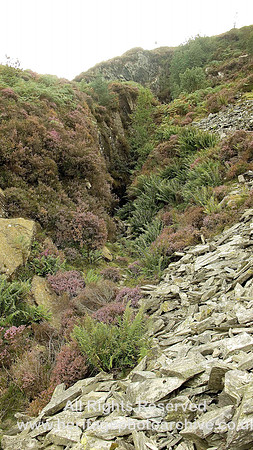 HRS 4274 Penrhiw Hone-stone Quarry level