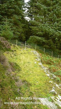 HRS 4275 Penrhiw Hone-stone Quarry, Tramroad to mill 2008