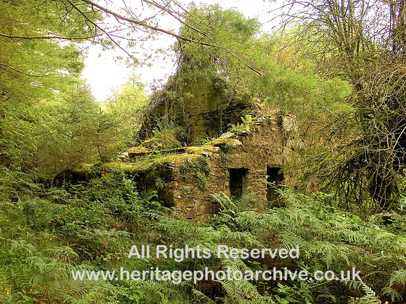 HRS 4276 Penrhiw Hone-stone mill 2008