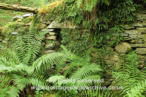 HRS 4279 Penrhiw Hone-stone mill, doorway