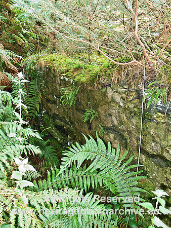 HRS 4280 Penrhiw Hone-stone Mill, Waterwheel pit 2008