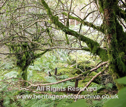 HRS 4283 Penrhiw Hone-stone mill, ironwork