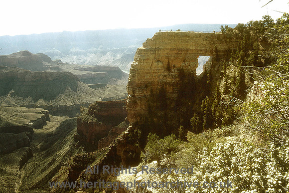 HRS 4541 Grand Canyon, North Rim 1981