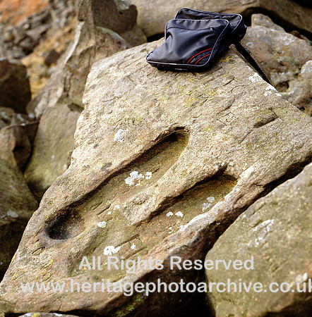 HRS 1631 Carboniferous, Millstone Grit, Pendle Grit, Devil's footprints concretion casts 1980s