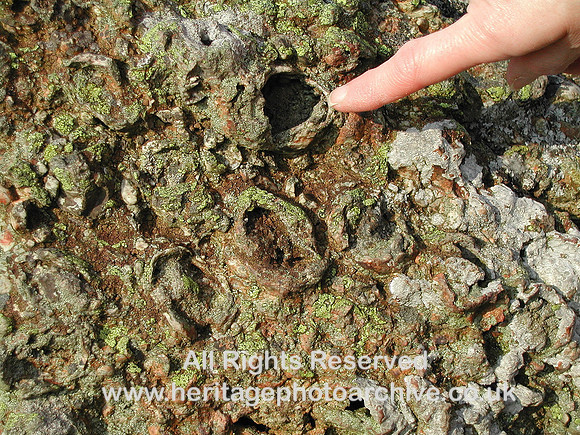 HRS 7234 Coarse agglomeritic tuff Conwy mountain 2003