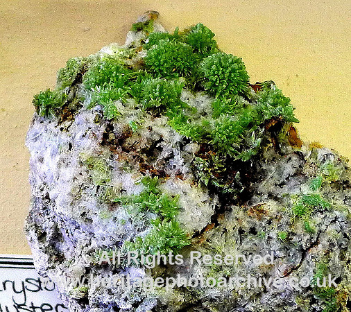 HRS 7245 Pyromorphite Caldbeck Fells
