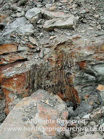 HRS 7267 Brymbo fossils
