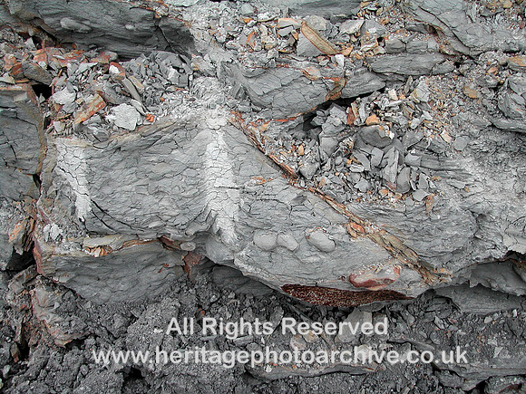 HRS 7269 Ghost fossils Brymbo