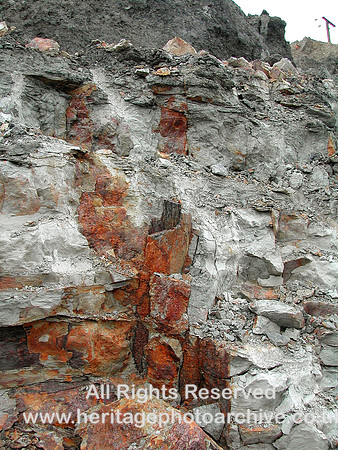 HRS 7271 Tree stumps in rock face