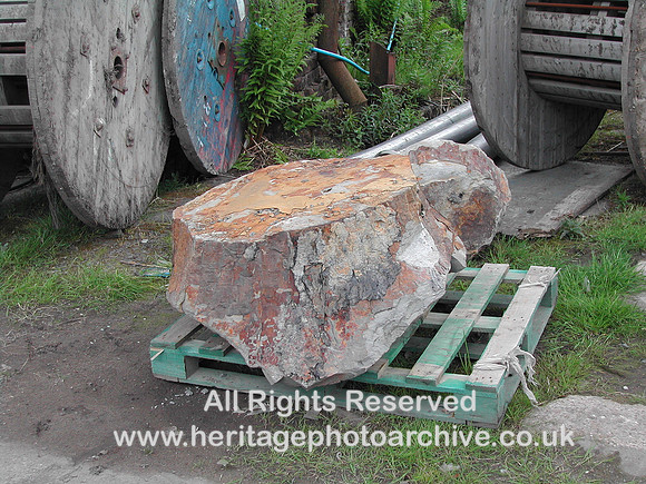 HRS 7283 Tree truck Brymbo