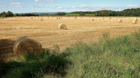 HRS 4776 Holker Estate, Crook Wheel 2010