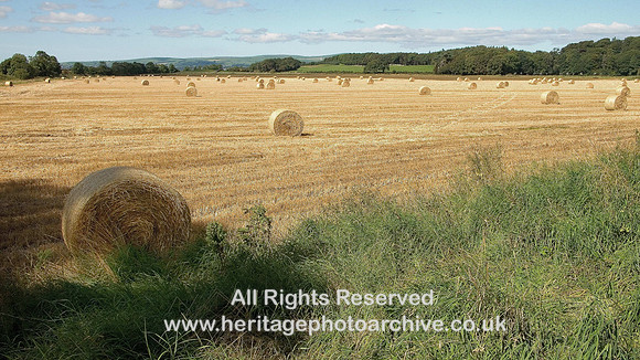 HRS 4776 Holker Estate, Crook Wheel 2010