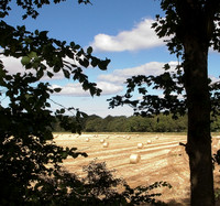 HRS 4777 Holker Estate, Crook Wheel 2010