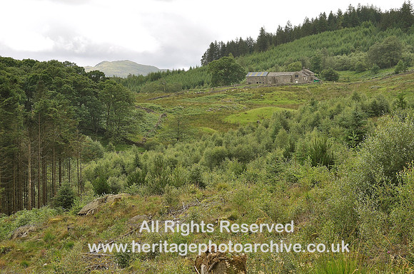 HRS 4892 Dunnerdale Forest, Birks Farm, 2010