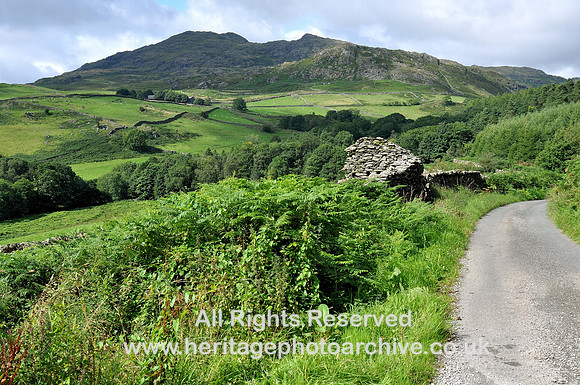 HRS 4947 Caw, Lickle Valley 2010