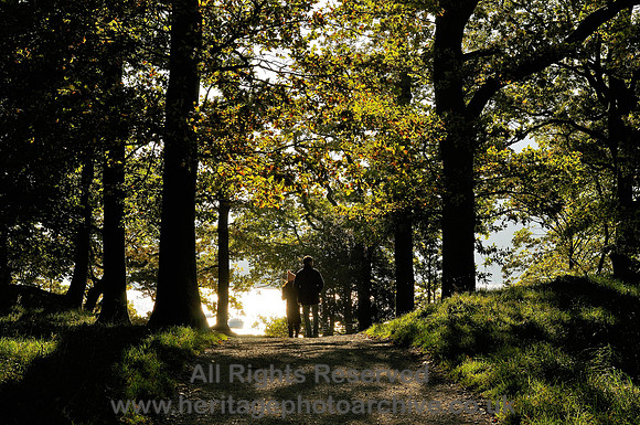 HRS 4972 Woodland walk Bowness 2010