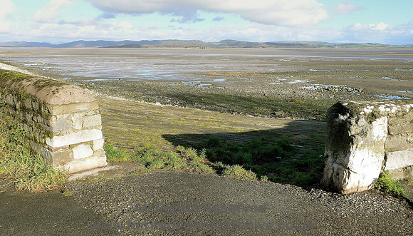 HRS 4990 Bardsey, Wadhead shore 2010