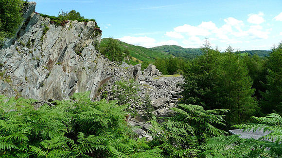 HRS 7883 Photo 13 View looking east along quarry exposure