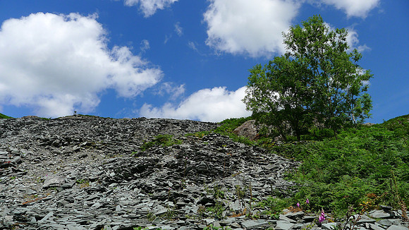 HRS 7871 Photo Location 1 Quarry tips eastern end looking north
