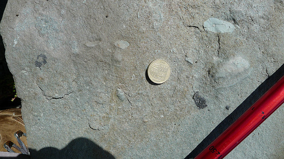 HRS 7878 Photo Location 8 Un-identified inclusions in fine tuff