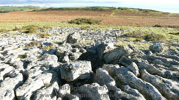 HRS 5024 Birkrigg limestone pavement etc 2010