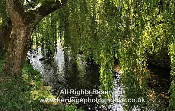 HRS 5028 Sylvan river Ea Cartmel 2010