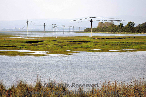 HRS 5049 High tide at Sandgate Marsh Starlings etc Oct 2010