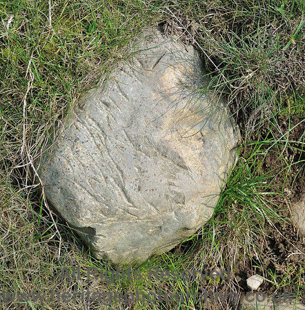 HRS 5052 Erratic with striae Cark shore