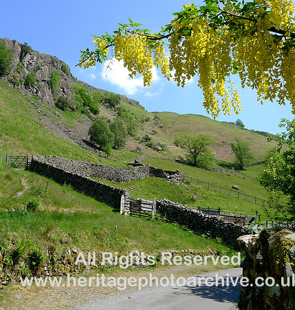 HRS 5068 Near Elterwater sheep pens May 2012