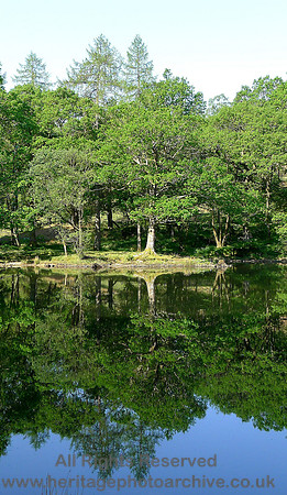 HRS 5077 Coniston, Yew Tree Tarn 2012