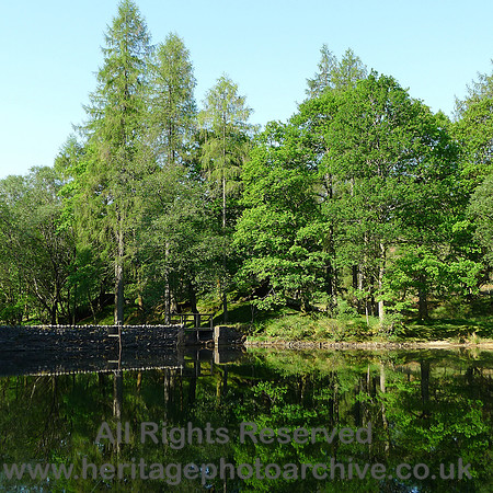 HRS 5079 Coniston, Yew Tree Tarn dam 2012