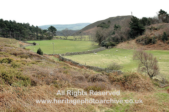 HRS 5114 Fields behind Pensychnant 2010